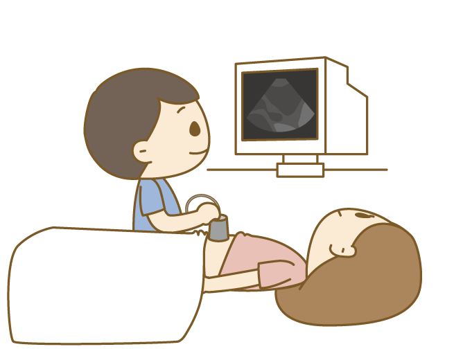 超音波 エコー 検査でわかること 腹部超音波 体表超音波 甲状腺や乳腺 ひまわり医院 内科 皮膚科