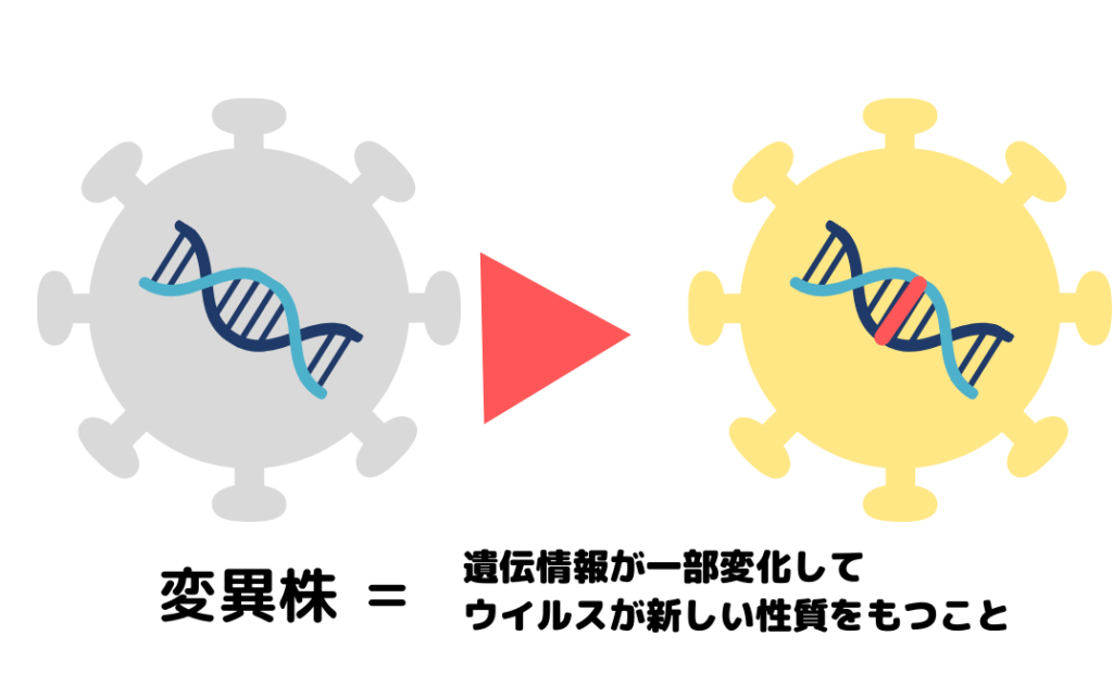 新型コロナウイルス変異株 デルタ株 について 感染力 潜伏期間 ワクチンの効果 ひまわり医院 内科 皮膚科 新型コロナウイルス変異株 デルタ株 について 感染力 潜伏期間 ワクチンの効果 ひまわり医院 内科 皮膚科
