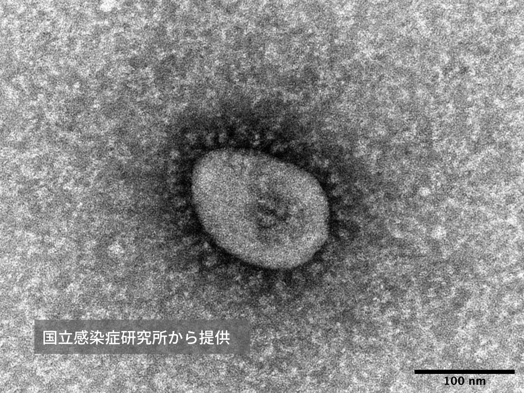 新型コロナウイルス オミクロン株 の特徴について 感染力 症状 重症化 ひまわり医院 内科 皮膚科