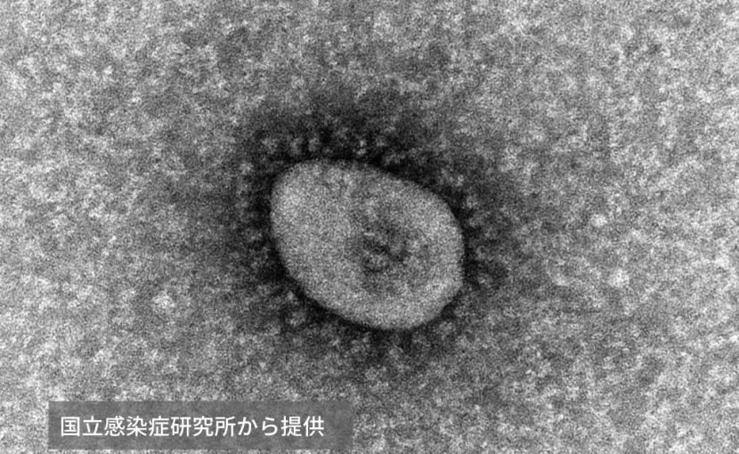 新型 コロナ ウイルス の 潜伏 期間 は どのくらい かかり ます か