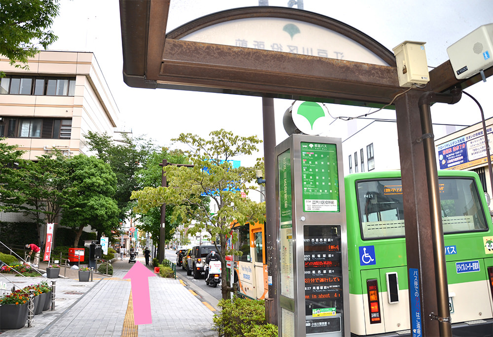 写真：江戸川区役所を正面バス停